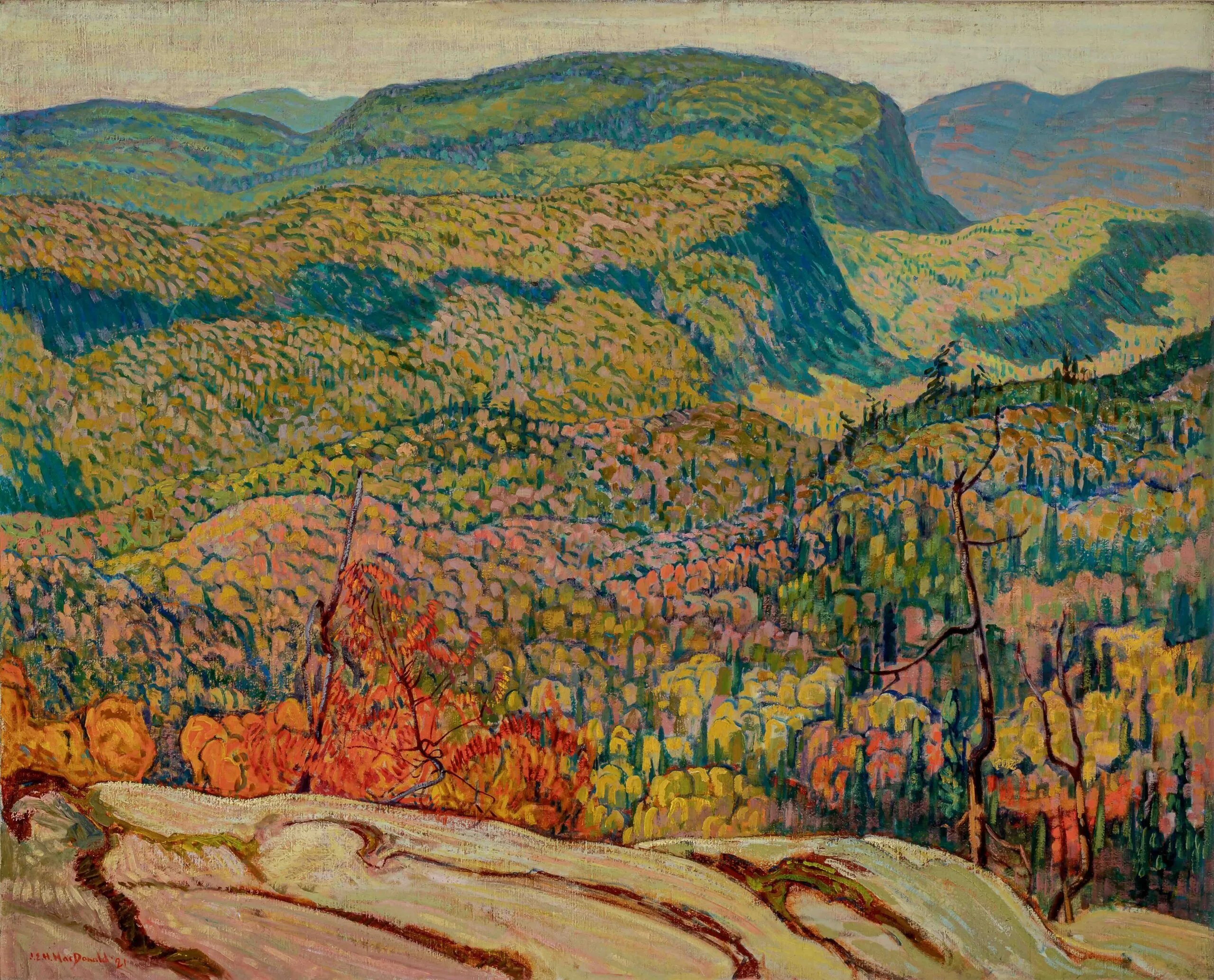 Director's Choice: J.E.H. MacDonald, Lichen-Covered Shale Slabs Director's Choice: J.E.H. MacDonald, Lichen-Covered Shale Slabs