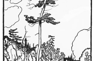 Black and white drawing of trees, dominated by a massive pine, in a rocky landscape with body of water in lower right.