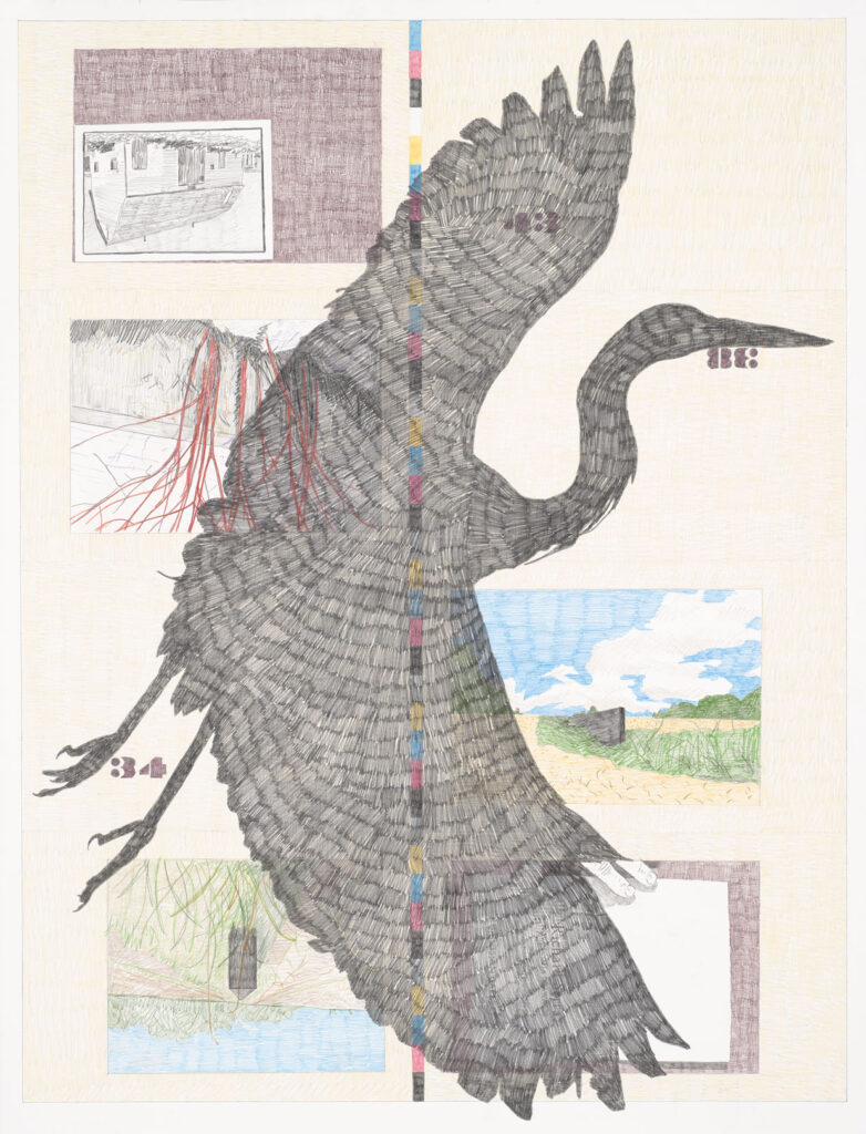 dsullivan-166_WEB coloured pencil by Derek Sullivan