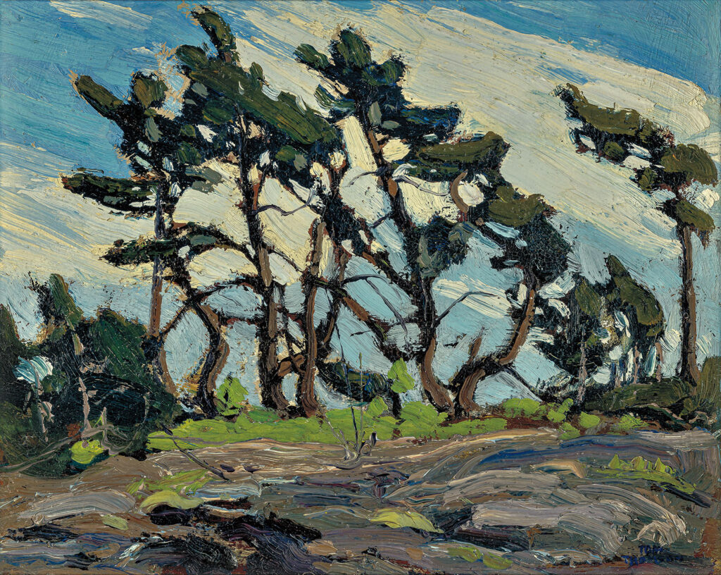Oil painting of tall, wind-swept pine trees against a blue sky with streaks of white clouds.