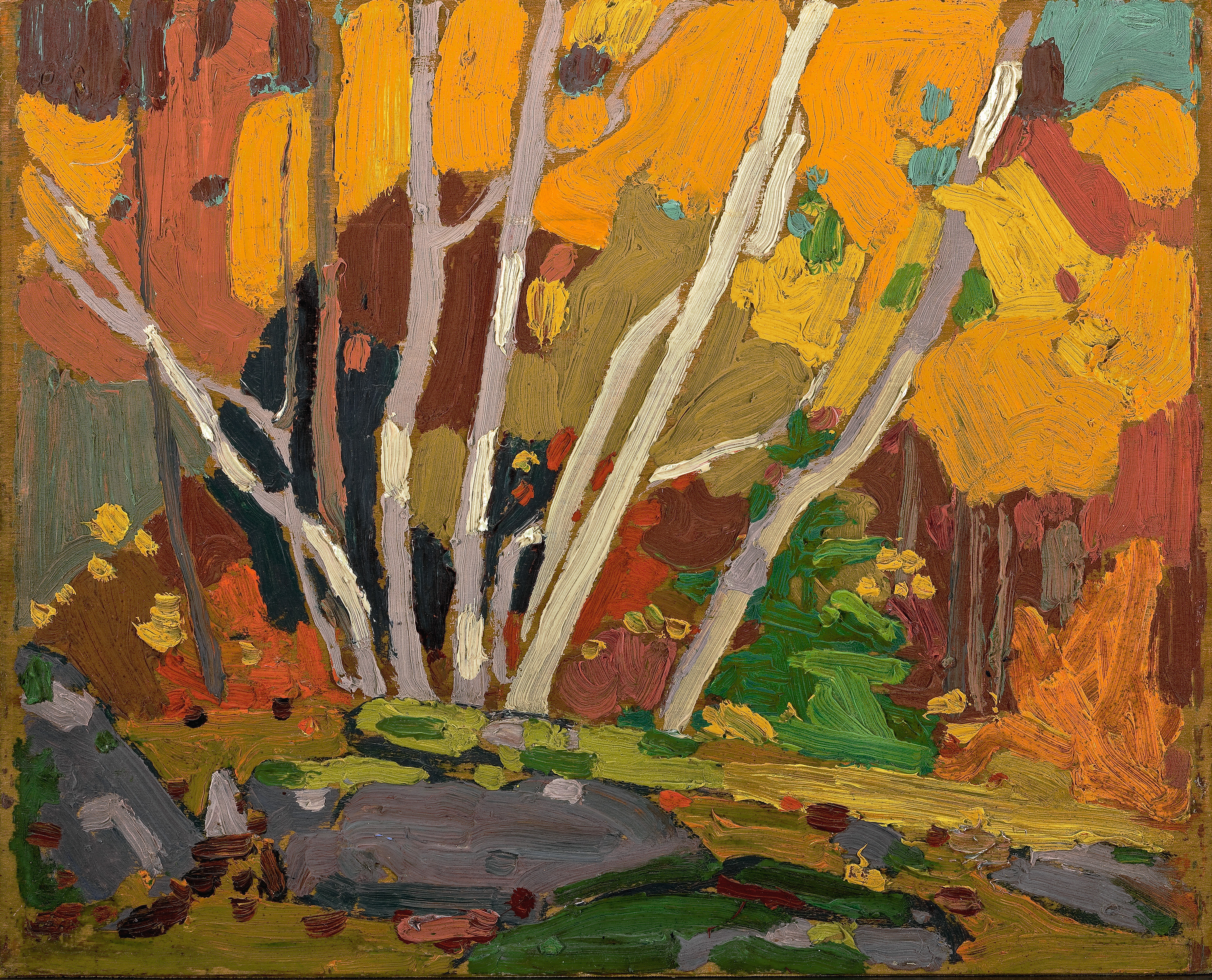 oil painting of birch trees in forest with foliage in autumn colours