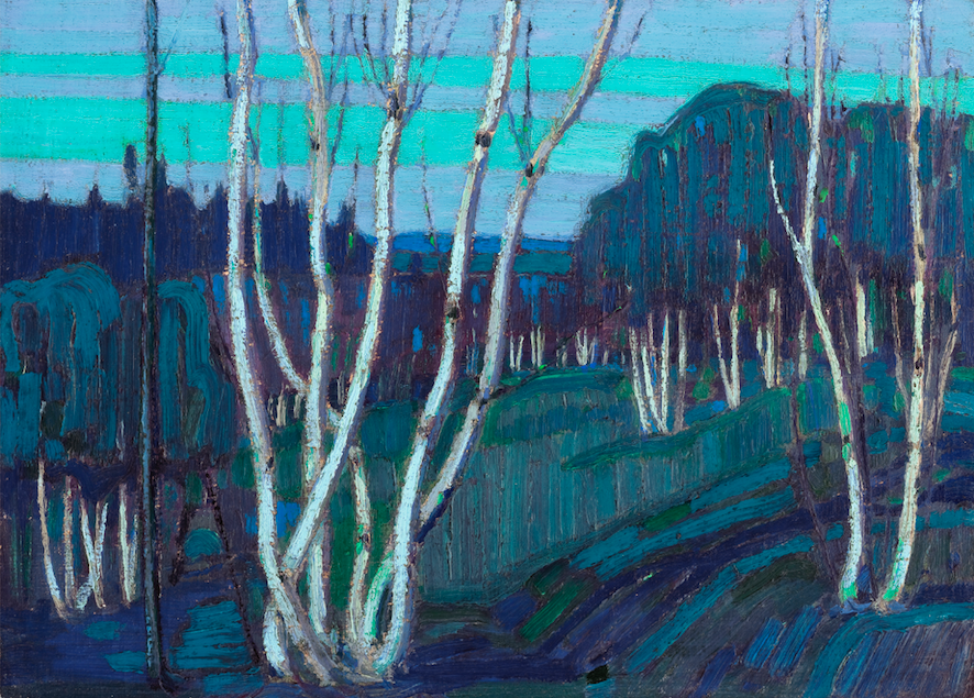 Oil painting of many silver birch tree clumps in a predominantly blue landscape.