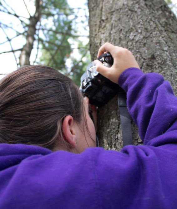 photograph of a girl with a camera taking picture of a tree
